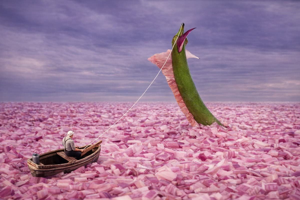 8 fotografias que prueban que el ingenio