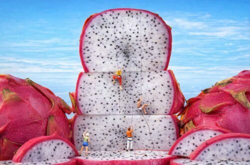 8 fotografias que prueban que el ingenio